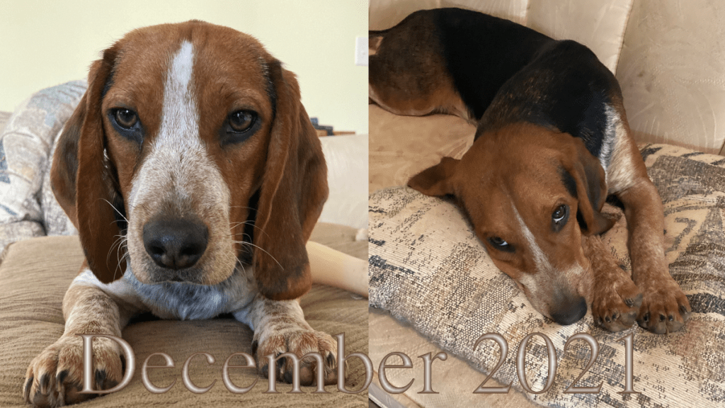 A look back at&nbsp;2021