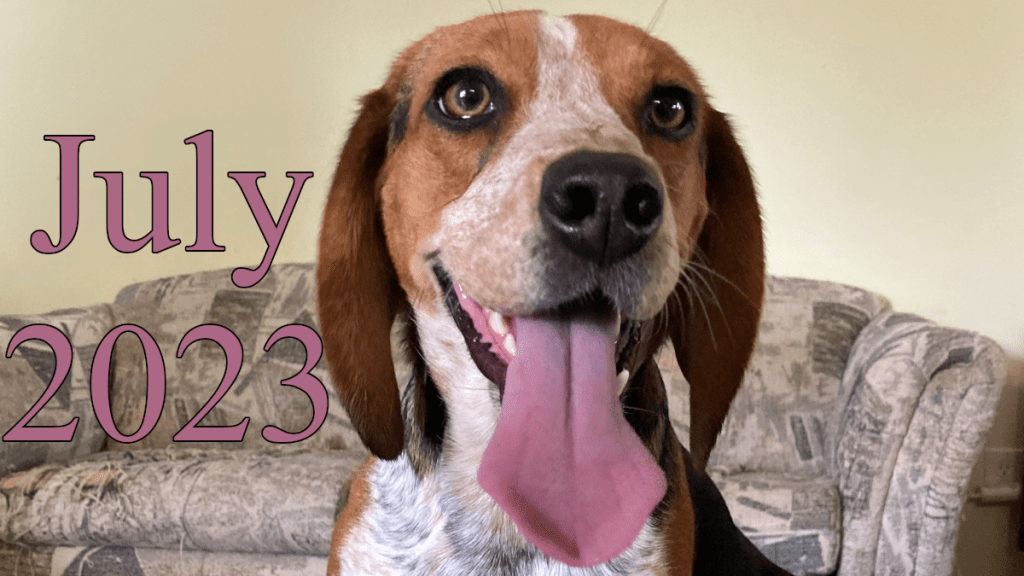 Roadblocks to Passions